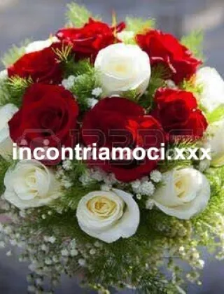 27 - Torodotatoxx Coppie Latina - 3662984882