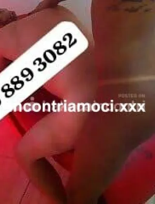 13 - Bello Grosso Trans Torino - 3508893082