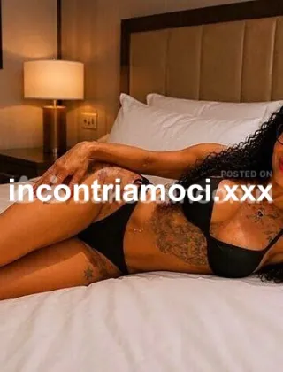 13 - Bruna Trans Mantova - 3488579556