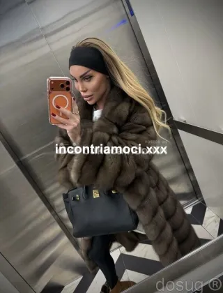 3512787001 - Ingrid 25 Trans Torino