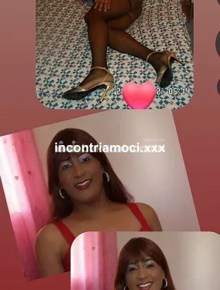 22 - Keyla Trans Arezzo - 3533490801
