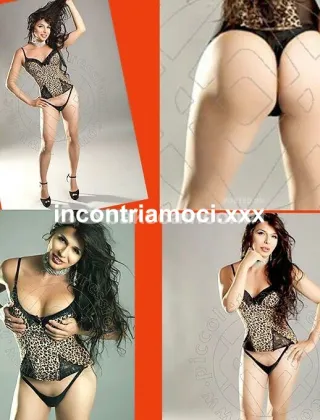36 - Bambolina Trans Treviso - 3519467532