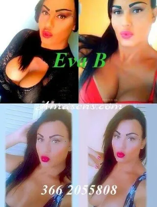 7 - Eva Trans Catanzaro - 3662055808