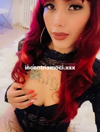 31 - Leila Trans Lodi - 3425239992
