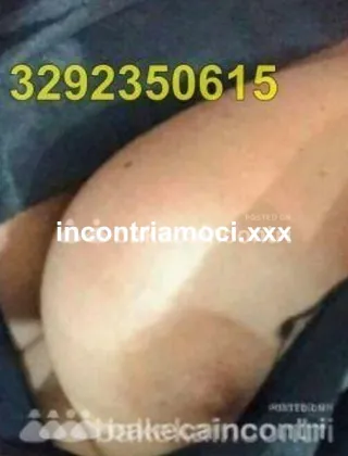 29 - Elena Escort Pavia - 3292350615