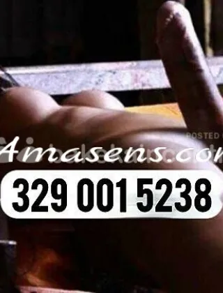 33 - Gaby Trans Padova - 3290015238