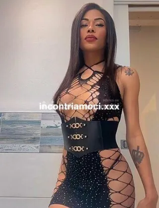 34 - Maisa Trans Imperia - 3288851769