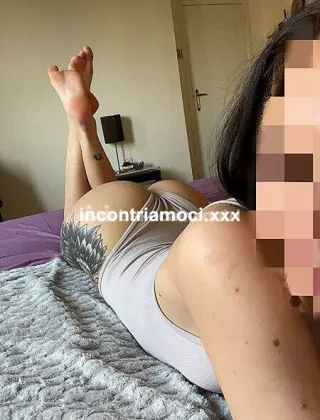 3 - Escort Verona - 3349728130