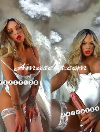 12 - Barbye Dior Trans Piacenza - 3472825420