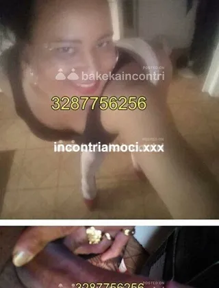 15 - Regina Trans Firenze - 3287756256