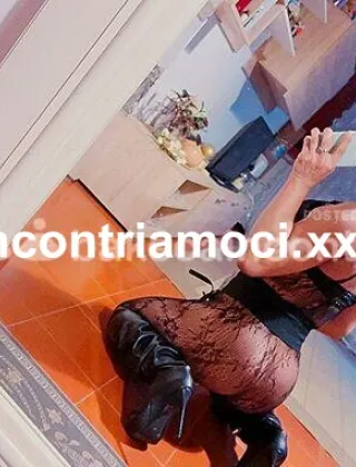 22 - Ambar Trans Novara - 3511842838