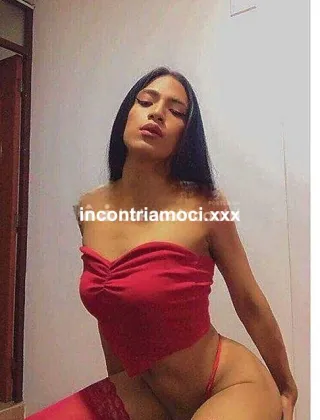 11 - Trans Trans Milano - 3793464809