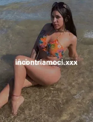 22 - Barbi Trans Trans Como - 3339242519