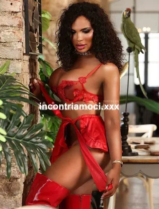 12 - Estrella Trans Torino - 3297213474