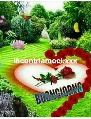 26 - Torodotatoxx Coppie Latina - 3662984882