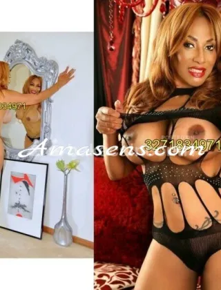 9 - New Escort Modena - 3271834971