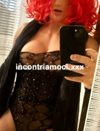 3520790240 - Solitaria 39 Escort Livorno