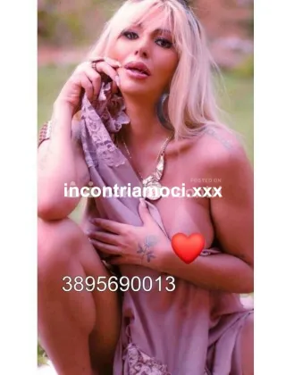 35 - Novita Trans Foggia - 3895690013