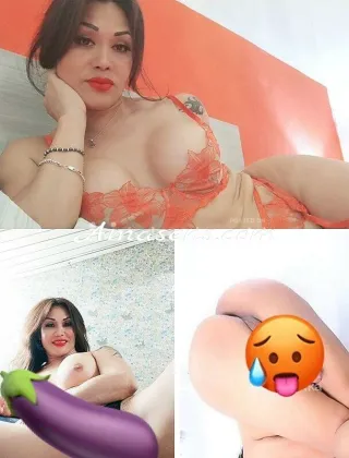 24 - Danna Trans Valle d'aosta - 3450241147