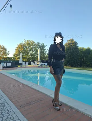 6 - Coppie Modena - 3445655623