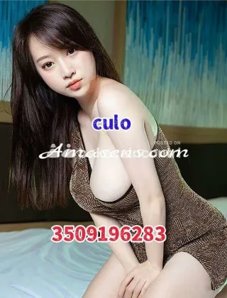 11 - Nuova Escort Novara - 3444329880