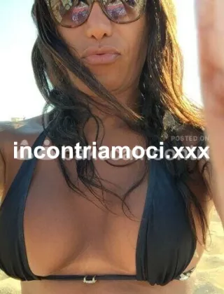 29 - Trans Trans Pescara - 3347268865