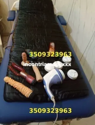 6 - Rosa Escort Alessandria - 3509323963
