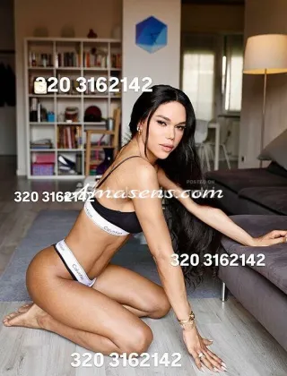 3 - Abbey Trans Treviso - 3203162142
