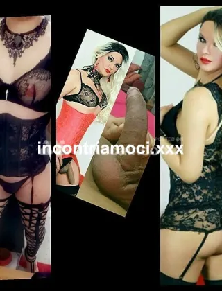 18 - Eduarda Trans Bologna - 3516576424