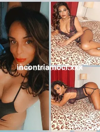 19 - Lya Trans Perugia - 3273816212