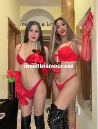 15 - Lorena Trans Milano - 3284020912