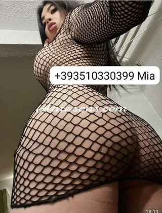 12 - Mia Trans Siena - 3510330399
