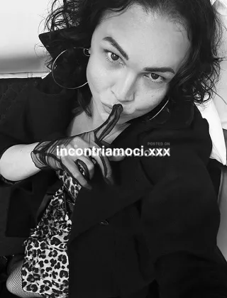 26 - Marina Trans Massa-Carrara - 3314846004