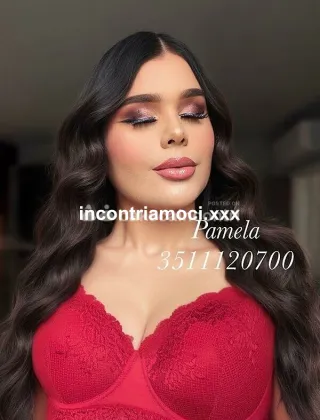 25 - Pamy Pornostar Trans Pesaro e Urbino - 3511120700