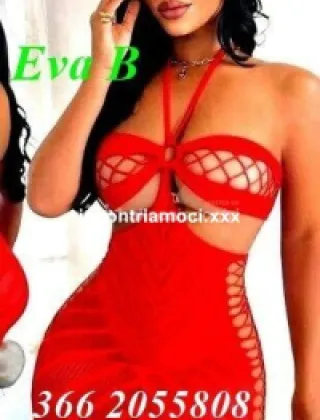 9 - Eva Trans Catanzaro - 3662055808