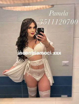 29 - Pamy Pornostar Trans Pesaro e Urbino - 3511120700