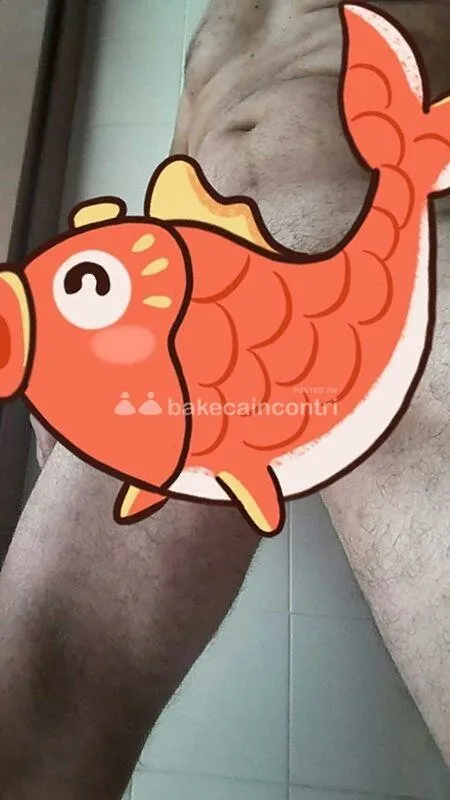 Maxbon