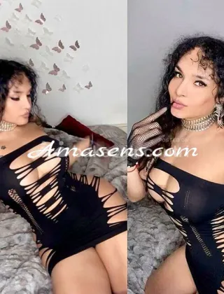 5 - Vittoria Trans Modena - 3667422511