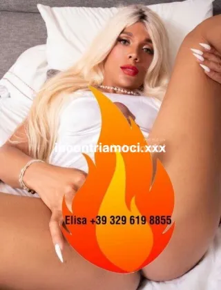 20 - Elisa Trans Milano - 3296198855