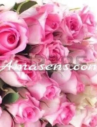 4 - Torodotatoxx Coppie Latina - 3662984882