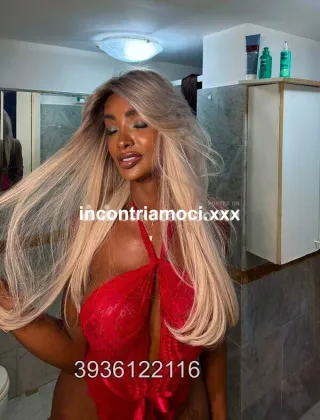 8 - Maya Trans Milano - 3936122116