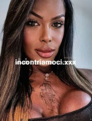 33 - Lesly Trans Bari - 3511928976