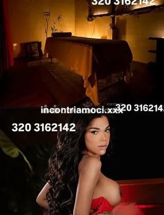 8 - Abbey Trans Treviso - 3203162142