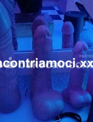 18 - Mirella Trans Cremona - 3391038030