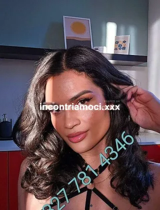 3 - Madoka Trans Varese - 3277814346
