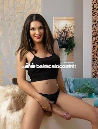 15 - New Trans Reggio Emilia - 3895386034