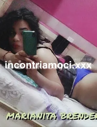28 - Pene Trans Reggio Emilia - 3930898420