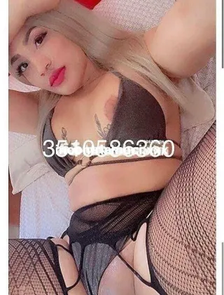 31 - Antonella Escort Modena - 3510586360