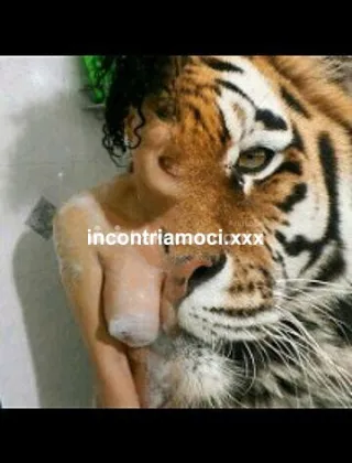 13 - Melinda Trans Bologna - 3461324229