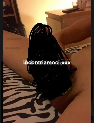 1 - Linda Trans Bergamo - 3534989157